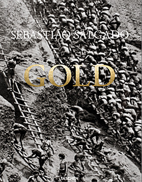 gold_salgado