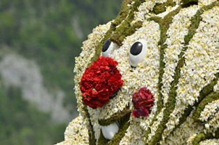 narzissenfest_08