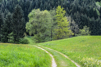 egelsee_6