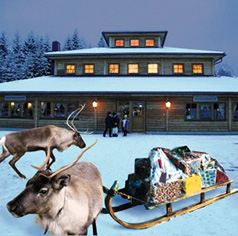 hirschalm_03