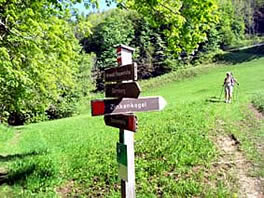 Zinkenkogel_2