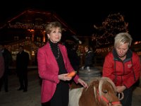 2017 - Voradventtfeier mit Prominenten. auf Gut Aiderbichl in Henndorf bei Salzburg : Voradventfeier, Adventfeier, Prominente, Gut Aiderbichl, Tierhof, Tierheim, Gnadenhof, Tierasyl, Caroline, Reiber, Fernsehansagerin, Moderatorin, Karotte, füttern, fuettern, Pony