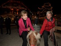 2017 - Voradventtfeier mit Prominenten. auf Gut Aiderbichl in Henndorf bei Salzburg : Voradventfeier, Adventfeier, Prominente, Gut Aiderbichl, Tierhof, Tierheim, Gnadenhof, Tierasyl, Caroline, Reiber, Fernsehansagerin, Moderatorin, Karotte, füttern, fuettern, Pony