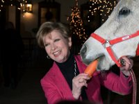 2017 - Voradventtfeier mit Prominenten. auf Gut Aiderbichl in Henndorf bei Salzburg : Voradventfeier, Adventfeier, Prominente, Gut Aiderbichl, Tierhof, Tierheim, Gnadenhof, Tierasyl, Caroline, Reiber, Fernsehansagerin, Moderatorin, Karotte, füttern, fuettern, Pferd, Schimmel