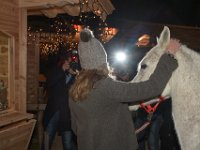 2017 - Voradventtfeier mit Prominenten. auf Gut Aiderbichl in Henndorf bei Salzburg : Voradventfeier, Adventfeier, Prominente, Gut Aiderbichl, Tierhof, Tierheim, Gnadenhof, Tierasyl, Caroline, Gräfin, Graefin, Saurmar, Pferd, fotografieren, Fotografen, von hinten, Blitzlicht, Flash