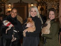 2017 - Voradventtfeier mit Prominenten. auf Gut Aiderbichl in Henndorf bei Salzburg : Voradventfeier, Adventfeier, Prominente, Gut Aiderbichl, Tierhof, Tierheim, Gnadenhof, Tierasyl, Sängerin, Saengerin, Leona, Lewis, Industriellentochter, Karin, Glock, Schauspielerin, Kristin, Davis, Hunde, Tiere