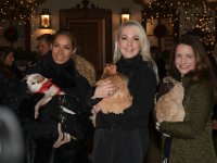2017 - Voradventtfeier mit Prominenten. auf Gut Aiderbichl in Henndorf bei Salzburg : Voradventfeier, Adventfeier, Prominente, Gut Aiderbichl, Tierhof, Tierheim, Gnadenhof, Tierasyl, Sängerin, Saengerin, Leona, Lewis, Industriellentochter, Karin, Glock, Schauspielerin, Kristin, Davis, Hunde, Tiere
