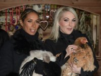 2017 - Voradventtfeier mit Prominenten. auf Gut Aiderbichl in Henndorf bei Salzburg : Voradventfeier, Adventfeier, Prominente, Gut Aiderbichl, Tierhof, Tierheim, Gnadenhof, Tierasyl, Sängerin, Saengerin, Leona, Lewis, Karin, Glock, Industrielle, Pistolen, Hunde