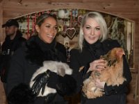 2017 - Voradventtfeier mit Prominenten. auf Gut Aiderbichl in Henndorf bei Salzburg : Voradventfeier, Adventfeier, Prominente, Gut Aiderbichl, Tierhof, Tierheim, Gnadenhof, Tierasyl, Sängerin, Saengerin, Leona, Lewis, Karin, Glock, Industrielle, Pistolen, Hunde