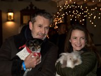 2017 - Voradventtfeier mit Prominenten. auf Gut Aiderbichl in Henndorf bei Salzburg : Voradventfeier, Adventfeier, Prominente, Gut Aiderbichl, Tierhof, Tierheim, Gnadenhof, Tierasyl, Schauspieler, Schauspielerin, Rupert, Everett, Schauspielerin, Kristin, Davis, Sex in the City, Tiere, posieren, James, Hector, Charlotte, York