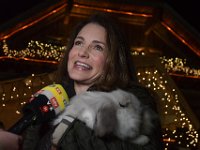 2017 - Voradventtfeier mit Prominenten. auf Gut Aiderbichl in Henndorf bei Salzburg : Voradventfeier, Adventfeier, Prominente, Gut Aiderbichl, Tierhof, Tierheim, Gnadenhof, Tierasyl, Kristin, Davis, Sex and the City, Cahrlotte, York, amerikanisch, Portraits, Inverview, Mikrofon, NTV