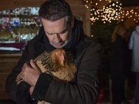 2017 - Voradventtfeier mit Prominenten. auf Gut Aiderbichl in Henndorf bei Salzburg : Voradventfeier, Adventfeier, Prominente, Gut Aiderbichl, Tierhof, Tierheim, Gnadenhof, Tierasyl, Schauspieler, Sänger, Saenger, Rupert, James, Hector, Everett, Hund