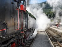 2017 - Traditions-Kaiserzug von Attnang-Puchheim nach Bad Ischl : Kaiserzug, Tradition, historisch, Touristenattraktion, Salzkammergut, Fremdenverkehrsattraktion, Eisenbahn, Spektakel, Dampflokomotive, BAnhhof Traunkirchen, stehend